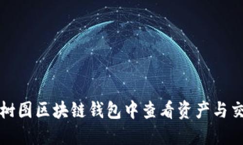 如何在树图区块链钱包中查看资产与交易记录