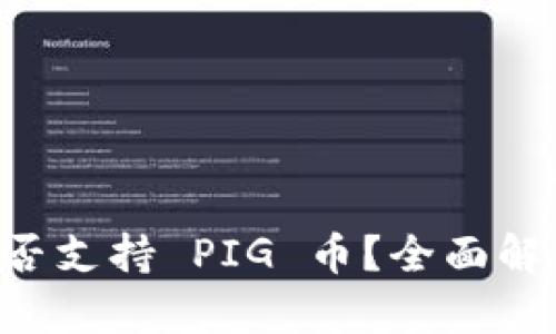 TPWallet 是否支持 PIG 币？全面解析与用户指导