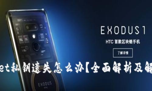 tpwallet私钥遗失怎么办？全面解析及解决方案