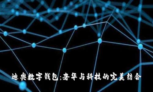 迪奥数字钱包：奢华与科技的完美结合