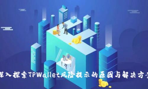 深入探索TPWallet风险提示的原因与解决方案