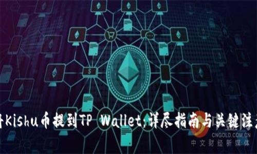 如何将Kishu币提到TP Wallet：详尽指南与关键注意事项