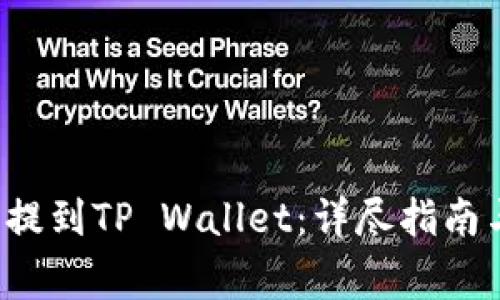 如何将Kishu币提到TP Wallet：详尽指南与关键注意事项
