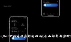 tpwallet里的币被盗能追回吗？全面解析与应对策略