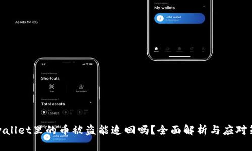 tpwallet里的币被盗能追回吗？全面解析与应对策略