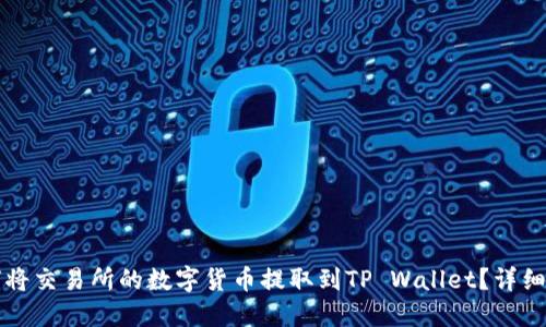 如何将交易所的数字货币提取到TP Wallet？详细指南