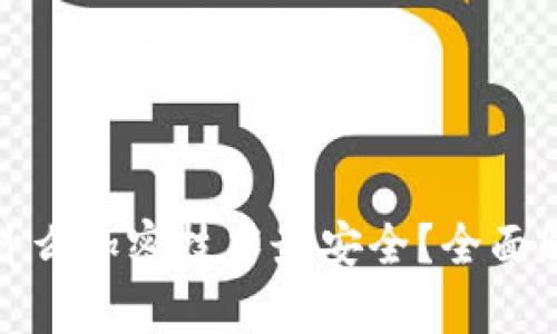 数字钱包用什么加密技术最安全？全面解析加密选项