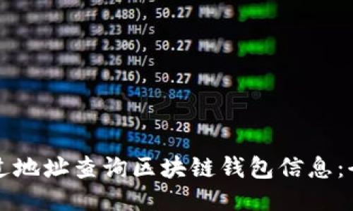 如何通过地址查询区块链钱包信息：全面指南