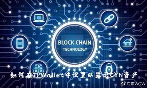 如何在TPWallet中设置以显示CYN资产