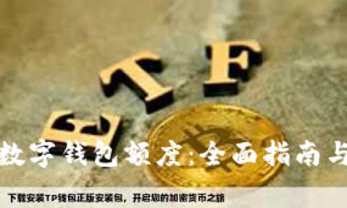 如何查询数字钱包额度：全面指南与注意事项