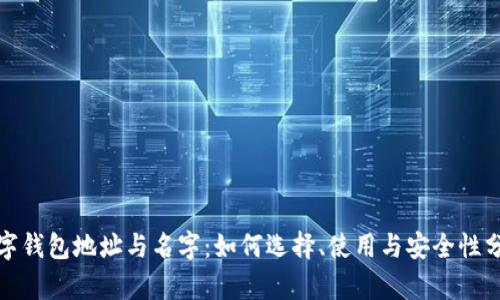 数字钱包地址与名字：如何选择、使用与安全性分析