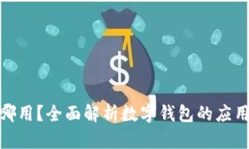 数字钱包在哪用？全面解析数字钱包的应用场景与优势