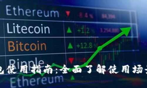 西安数字钱包使用指南：全面了解使用场景与便捷体验