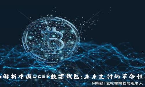全面解析中国DCEP数字钱包：未来支付的革命性工具