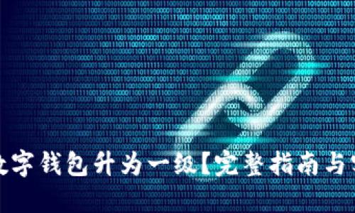 如何将数字钱包升为一级？完整指南与实用技巧