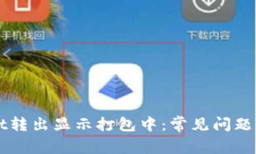 TPWallet转出显示打包中：常见问题解决指南