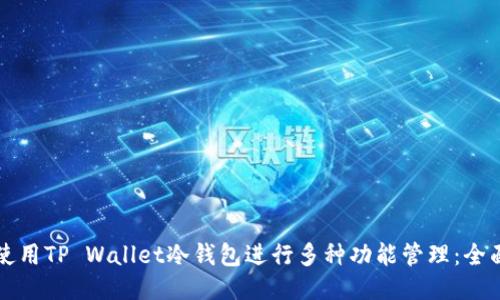 如何使用TP Wallet冷钱包进行多种功能管理：全面指南