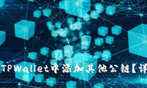 如何在TPWallet中添加其他公链？详尽指导