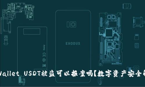 TPWallet USDT被盗可以报案吗？数字资产安全解读
