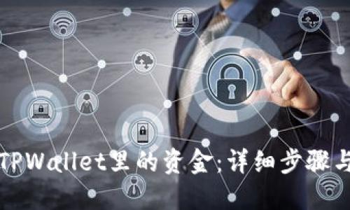 如何导入TPWallet里的资金：详细步骤与实用技巧