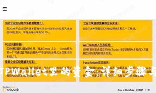如何导入TPWallet里的资金：详细步骤与实用技巧