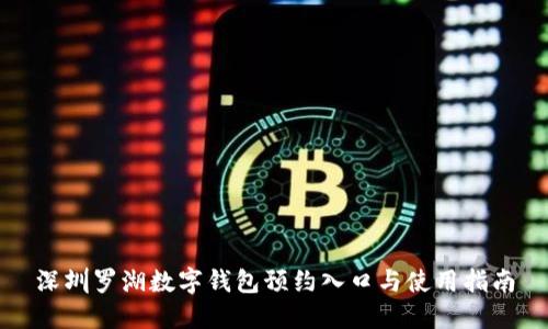 深圳罗湖数字钱包预约入口与使用指南
