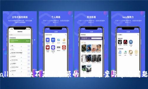 TPWallet Dot不显示余额的解决方案与常见问题解析