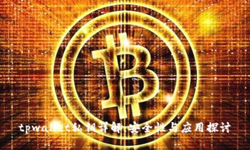 tpwallet私钥详解：安全性与应用探讨