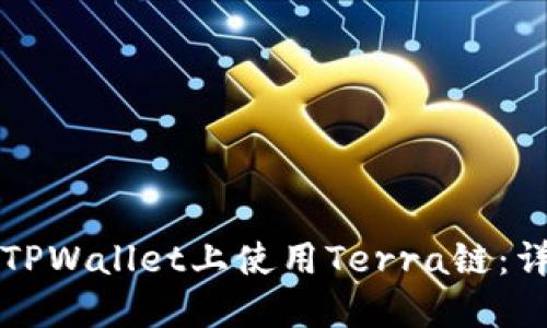 如何在TPWallet上使用Terra链：详细指南