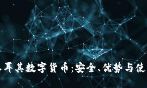 探秘土耳其数字货币：安全、优势与使用指南